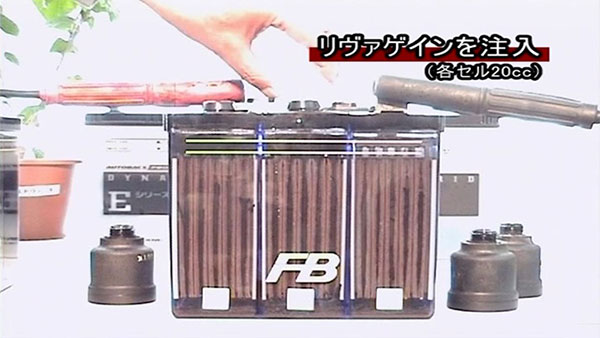 2.リヴァゲインを注入（各セル20cc）