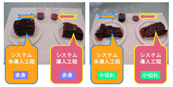 学会発表事例 (4) 冷凍鯨肉に対する解凍工程における適応効果